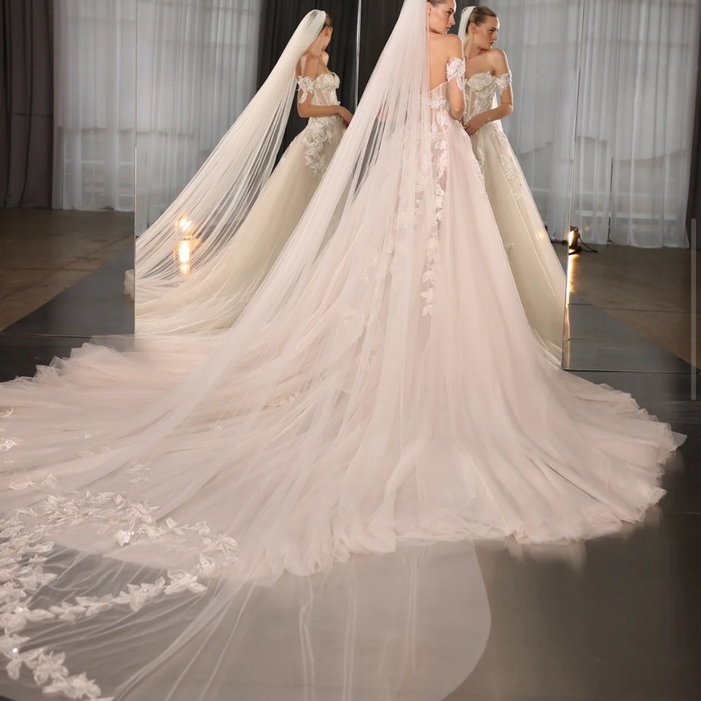 Galia Lahav Wedding Gown plus It’s matching veil